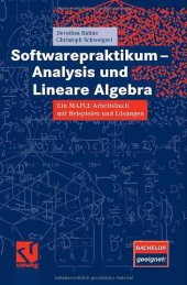 book Softwarepraktikum - Analysis und Lineare Algebra  German 