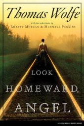 book Look Homeward, Angel