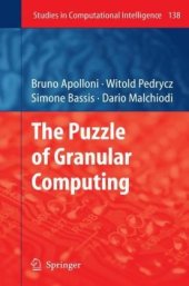 book The Puzzle of Granular Computing