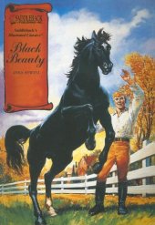 book Black Beauty (Saddleback Illustrated Classics)