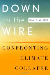 book Down to the Wire: Confronting Climate Collapse