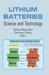 book Lithium Batteries: Science and Technology