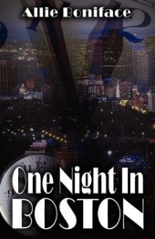 book One Night in Boston