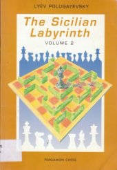 book The Sicilian Labyrinth, Vol. 2 (Pergamon Russian Chess Series)