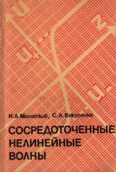 book Сосредоточенные нелинейные волны