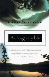 book An Imaginary Life