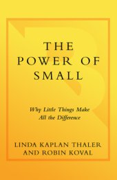 book The Power of Small: Why Little Things Make All the Difference