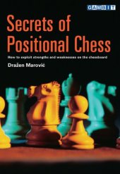 book Secrets of Positional Chess