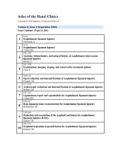 book Scapholunate Ligament Injuries, An Issue of Atlas of the Hand Clinics  (The Clinics: Orthopedics)