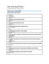 book Disorders of the lunotriquetral joint  Atlas of the Hand Clinics - Volume 9, Number 1, March 2004 