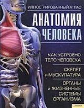 book Анатомия человека. Иллюстрированный атлас