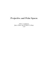 book Projective and polar spaces