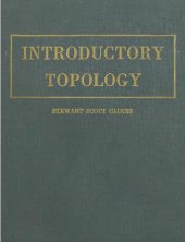 book Introductory topology 