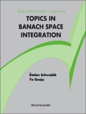 book Topics in Banach space integration