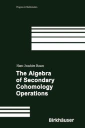 book The Algebra of Secondary Cohomology Operations