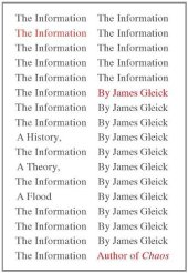 book The Information: A History, a Theory, a Flood