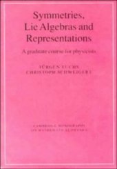 book Symmetries, lie algebras and representations: a graduate course for physicists