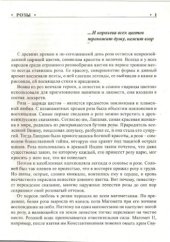 book Розы
