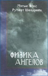 book Физика ангелов