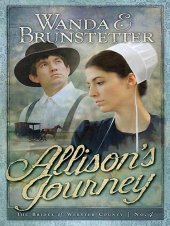 book Allison's journey  