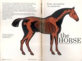 book Horse: From Conception to Maturity  