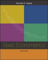 book Basic Econometrics  