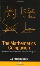 book The mathematics companion