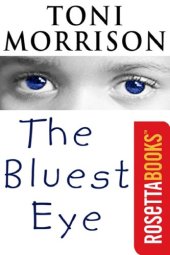 book The Bluest Eye  