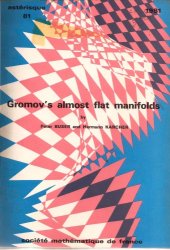 book Gromov's almost flat manifolds  issue 81