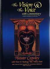 book The Vision and the Voice with Commentary and Other Papers  