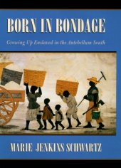 book Born in Bondage: Growing Up Enslaved in the Antebellum South  