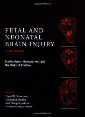 book Fetal and Neonatal Brain Injury: Mechanisms, Management, and the Risks of Practice, 3rd Edition  