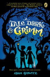 book A Tale Dark and Grimm  