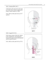 book WHO Standard Acupuncture Point Locations in the Western Pacific Region part 7  