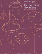 book Riemannian Geometry: A Beginner's Guide  