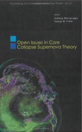 book Open Issues in Core Collapse Supernova Theory (Proceedings from the Institute for Nuclear Theory 14)  