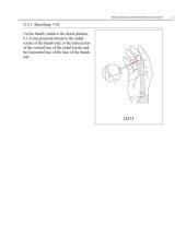 book WHO Standard Acupuncture Point Locations in the Western Pacific Region part 2  