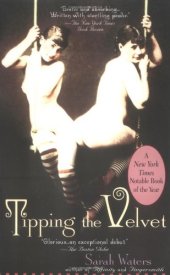 book Tipping the Velvet  