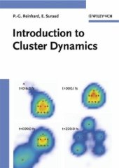 book Introduction to Cluster Dynamics (Wiley 2004)