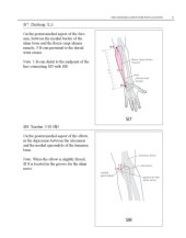 book WHO Standard Acupuncture Point Locations in the Western Pacific Region part 4  