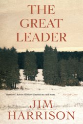 book The Great Leader  