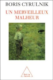 book Un merveilleux malheur  