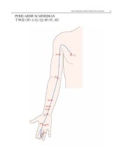 book WHO Standard Acupuncture Point Locations in the Western Pacific Region part 6  