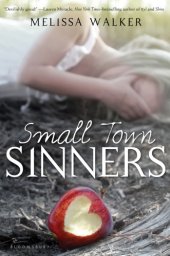 book Small Town Sinner  