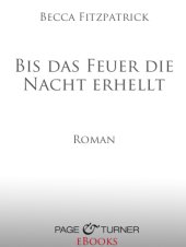 book Bis das Feuer die Nacht erhellt. Roman  