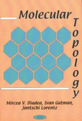 book Molecular topology  