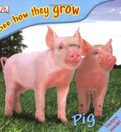 book Pig (See How They Grow)  