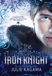 book The Iron Knight  