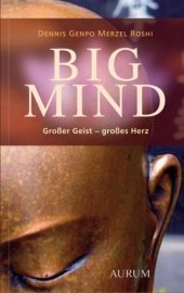 book Big Mind  