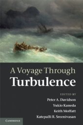 book A Voyage Through Turbulence  